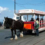 Isle of Man Trams