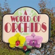 A World of Orchids