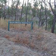 Mount Windsor National Park (QLD)