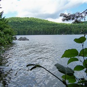 Maidstone State Park, Vermont