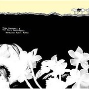 Hope Sandoval & the Warm Intentions - Bavarian Fruit Bread