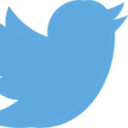 Twitter Bird
