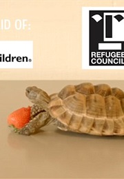 This Tortoise Could Save a Life (2015)