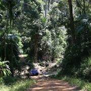 Conondale National Park (QLD)