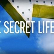 The Secret Life of . . .