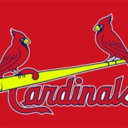 Lifelong Fan of Team With One of the Classiest Logos in Sports