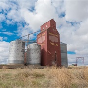 Tour a Grain Elevator