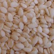 Sesame Seed