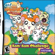 Hi Hamtaro! Little Hamsters Big Adventure