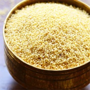 Foxtail Millet