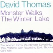 David Thomas &amp; the Wooden Birds - Monster Walks the Winter Lake