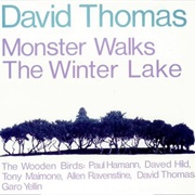 David Thomas & the Wooden Birds - Monster Walks the Winter Lake