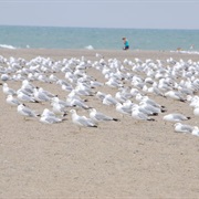 Headlands Beach State Park, Ohio