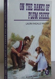 A Book I Loved as a Child (On the Banks of Plum Creek)