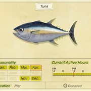 Tuna