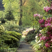 Colby Woodland Garden (NT)