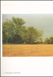 14 American Photographers (Renato Danese)