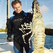 The Largest Documented Lobster Was Caught in Nova Scotia in 1977