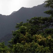 Kahana State Park, Oahu, Hawaii