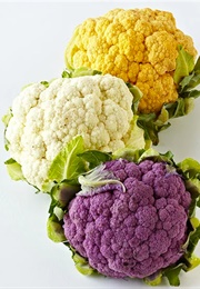 Better Homes and Gardens Nutrition for Your Family (Better Homes and Gardens)