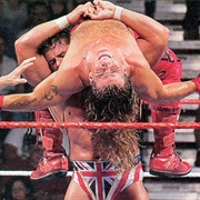 Shawn Michaels V the British Bulldog,In Your House 8: Beware of the Dog