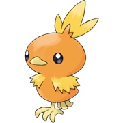 Torchic