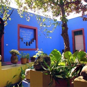 Museo Frida Kahlo, Mexico City