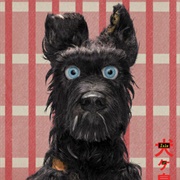 Chief (Isle of Dogs)