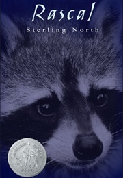 Rascal (Sterling North)