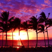 Enjoy a Tropical Sunset