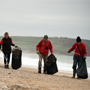 Beach Cleaning