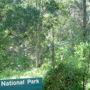 Mount Colosseum National Park (QLD)