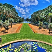 Fairchild Tropical Botanical Garden, Miami