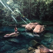 Croc-Free Swimming & Gourmet Food of Atherton Tableland, Australia