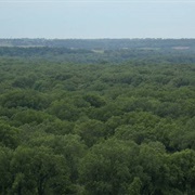 Weston Bend Bottoms, Kansas