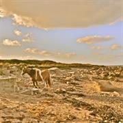 Chicaloyoh - Thébaïde De Pierres Bleues
