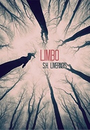 Limbo (Shelley Hazan)
