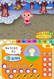 Animal Crossing: Wild World (2005)