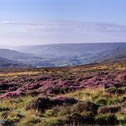 North York Moors