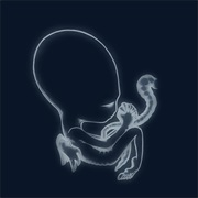 Svefn-G-Englar - Sigur Rós