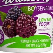 Boysenberry Yogurt