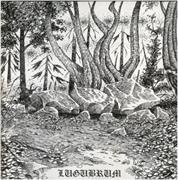 Lugubrum - Winterstones