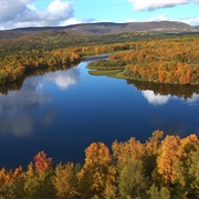 Stabbursdalen National Park