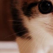 She Wears Sexy Thongs for Me.