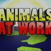 Animals at Work