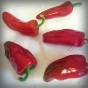 Aleppo Pepper