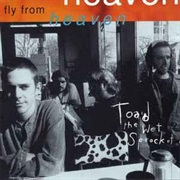 Fly From Heaven - Toad the Wet Sprocket