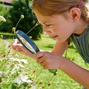 Discover the World With a Magnifying Glass