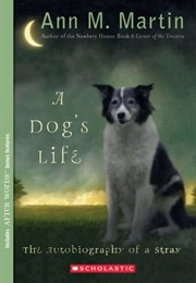 A Dog&#39;s Life : Autobiography of a Stray (Ann M. Martin)