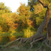 McConnell State Recreation Area, California
